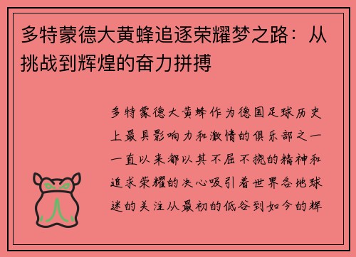 多特蒙德大黄蜂追逐荣耀梦之路：从挑战到辉煌的奋力拼搏