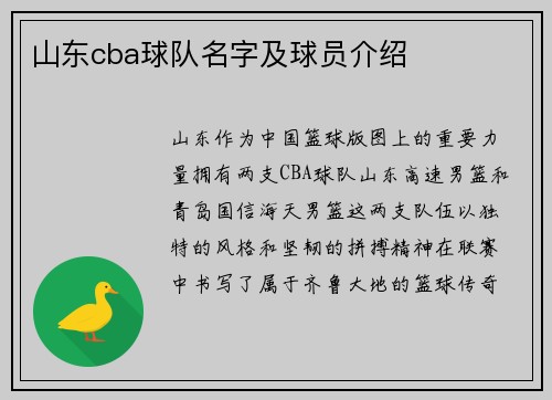 山东cba球队名字及球员介绍